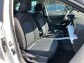 SEAT Arona Style Road Edition 1.0 TSI 85 kW (116 PS) 7-Gang-DSG Blanc - thumbnail 16