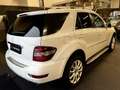 Mercedes-Benz ML 280 M-klasse CDI GLASDAK APPLE CARPLAY YOUNGTIMER Blanc - thumbnail 6