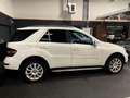 Mercedes-Benz ML 280 M-klasse CDI GLASDAK APPLE CARPLAY YOUNGTIMER Blanc - thumbnail 9