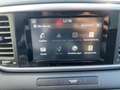 Kia Sportage 1.6 GDI Edition 7 SHZ+4xSHZ+LM+PDC - thumbnail 13