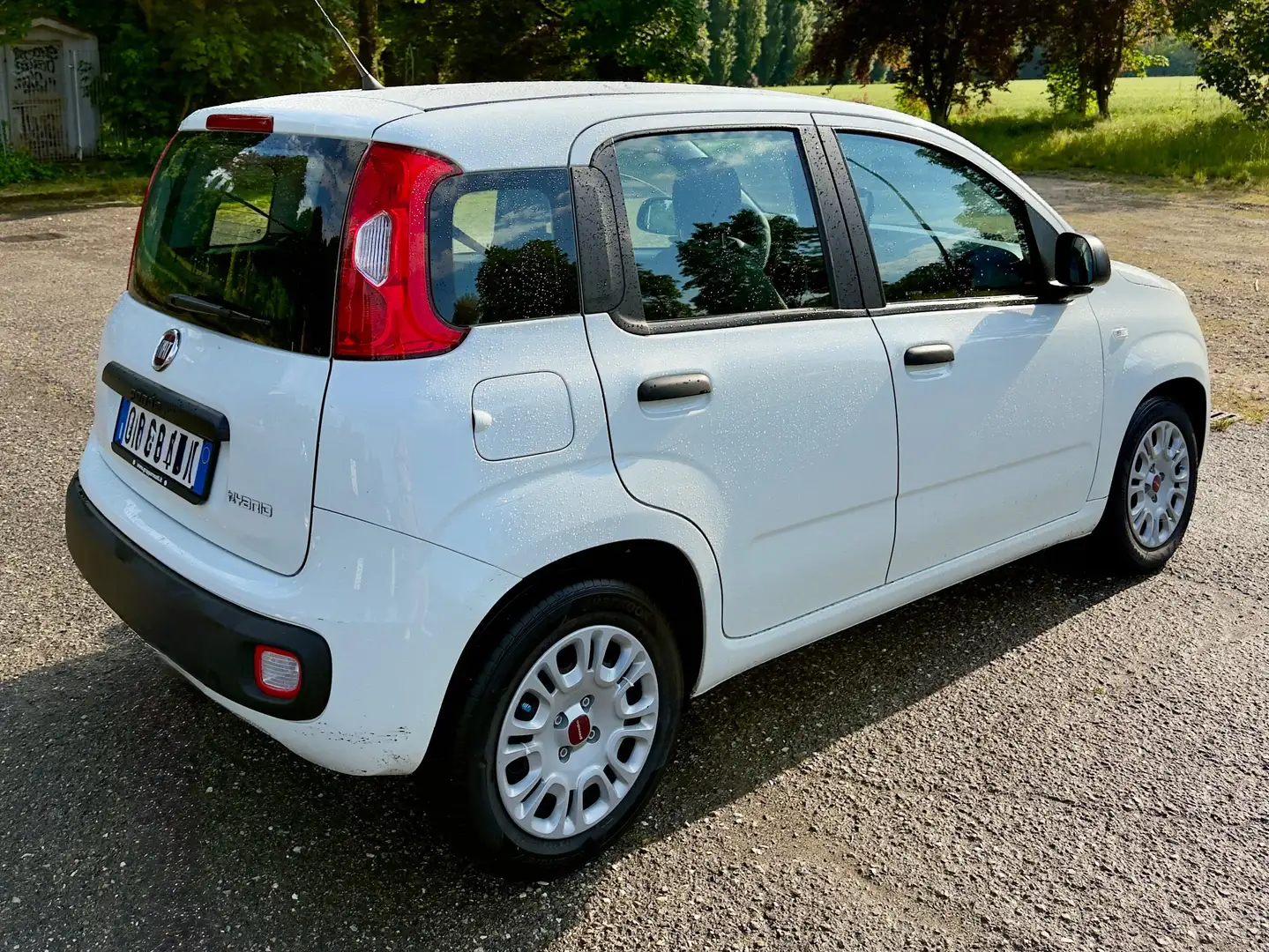 Fiat Panda Panda III 2021 1.0 firefly hybrid s Bianco - 2