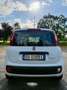 Fiat Panda Panda III 2021 1.0 firefly hybrid s Bianco - thumbnail 3
