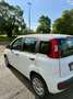 Fiat Panda Panda III 2021 1.0 firefly hybrid s Bianco - thumbnail 6