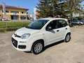 Fiat Panda Panda III 2021 1.0 firefly hybrid s Bianco - thumbnail 7
