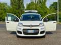 Fiat Panda Panda III 2021 1.0 firefly hybrid s Bianco - thumbnail 1