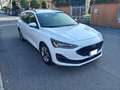 Ford Focus SW 1.5  Business 120cv auto unicop Fatturabile Bianco - thumbnail 4