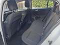 Ford Focus SW 1.5  Business 120cv auto unicop Fatturabile Bianco - thumbnail 8