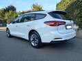 Ford Focus SW 1.5  Business 120cv auto unicop Fatturabile Bianco - thumbnail 5