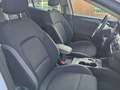 Ford Focus SW 1.5  Business 120cv auto unicop Fatturabile Bianco - thumbnail 9