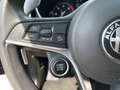 Alfa Romeo Stelvio 2.2 TURBODIESEL 210 CV AT8 Q4 EXECUTIVE Gris - thumbnail 18