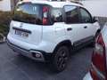 Fiat Panda 1.3 Cross 70kW 4x4 Blanco - thumbnail 2