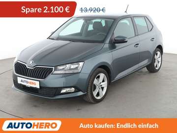 1.0 TSI Ambition*LIM*PDC*SHZ*ALU*KLIMA*