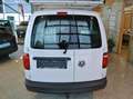 Volkswagen Caddy Maxi Kasten BMT 4Motion *AHV/PDC/SORTIMO/TEMPOM** Weiß - thumbnail 6