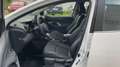 Mazda 2 HYBRID 1.5 116CVT AGILE COMFORT Blanco - thumbnail 11