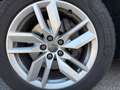 Audi Q5 35 TDI quattro Sport S-tronic Grün - thumbnail 13