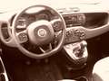 Fiat Panda 4x4 Wild  Allrad Weiß - thumbnail 16
