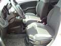 Fiat Panda 4x4 Wild  Allrad Blanc - thumbnail 15