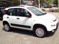 Fiat Panda 4x4 Wild  Allrad Blanc - thumbnail 3