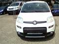 Fiat Panda 4x4 Wild  Allrad Blanc - thumbnail 4