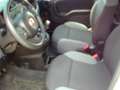 Fiat Panda 4x4 Wild  Allrad Blanc - thumbnail 11