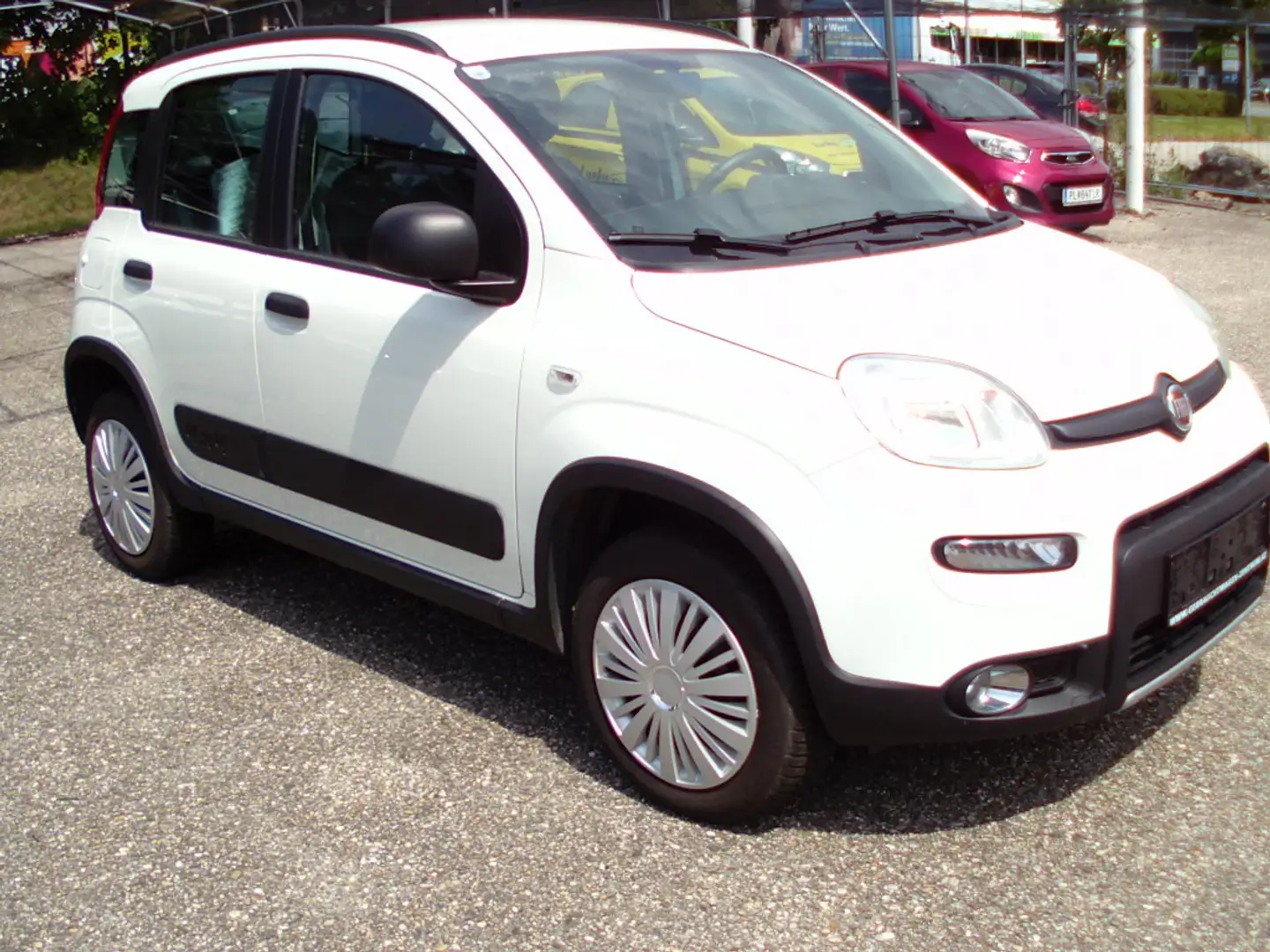 Fiat Panda 4x4 Wild  Allrad Blanc - 2
