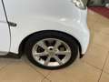 smart forTwo II 2007  Cabrio 1.0 Pulse NEOPATENTATI OK Bianco - thumbnail 14