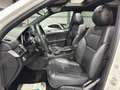 Mercedes-Benz GLE 350 /d/4Matic/PANO/LED/LEDER/AMG Weiß - thumbnail 8
