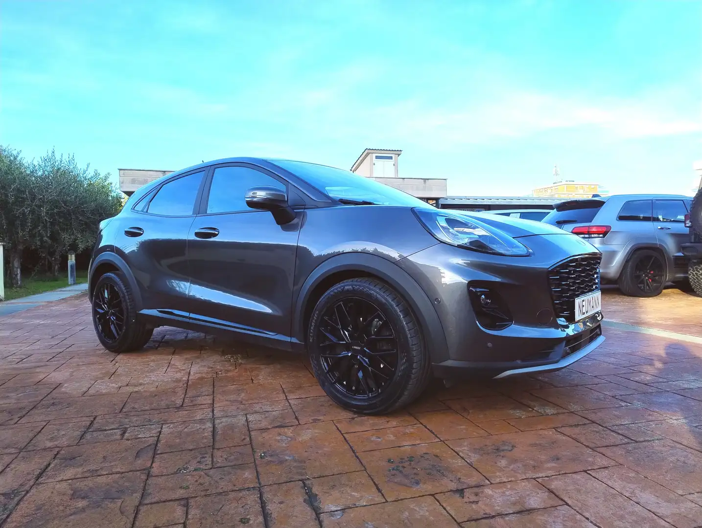 Ford Puma Puma 1.5 ecoblue Titanium Design s Grau - 1