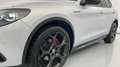 Alfa Romeo Stelvio 2.0 Competizione Q4 Aut. 280 Plateado - thumbnail 19