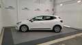 Renault Clio Blue dCi Business 63kW Weiß - thumbnail 2