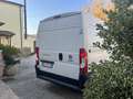 Fiat ducato H2 L2 2.3 130CV Bianco - thumbnail 15