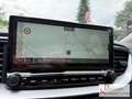Kia XCeed Edition 1.6 T-GDI EU6d 1.6T Platinum DCT7 **GD** Grau - thumbnail 15