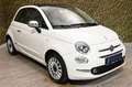 Fiat 500 1.2 Cabrio Lounge | PDC | Climate cntrl. Wit - thumbnail 10