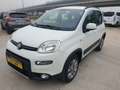 Fiat Panda Panda 1.3 mjt 16v 4x4 75cv E5+ Bianco - thumbnail 1
