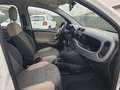 Fiat Panda Panda 1.3 mjt 16v 4x4 75cv E5+ Bianco - thumbnail 6