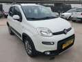 Fiat Panda Panda 1.3 mjt 16v 4x4 75cv E5+ Bianco - thumbnail 2