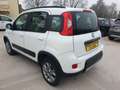 Fiat Panda Panda 1.3 mjt 16v 4x4 75cv E5+ Bianco - thumbnail 3