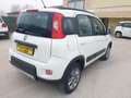 Fiat Panda Panda 1.3 mjt 16v 4x4 75cv E5+ Bianco - thumbnail 4