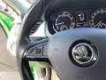 Skoda Rapid/Spaceback Spaceback Ambition 1.0 TSI+Klimaanlage+Parksensore Grün - thumbnail 13