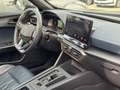 CUPRA Formentor 2.0 tsi VZ 4drive 310cv dsg Bleu - thumbnail 18
