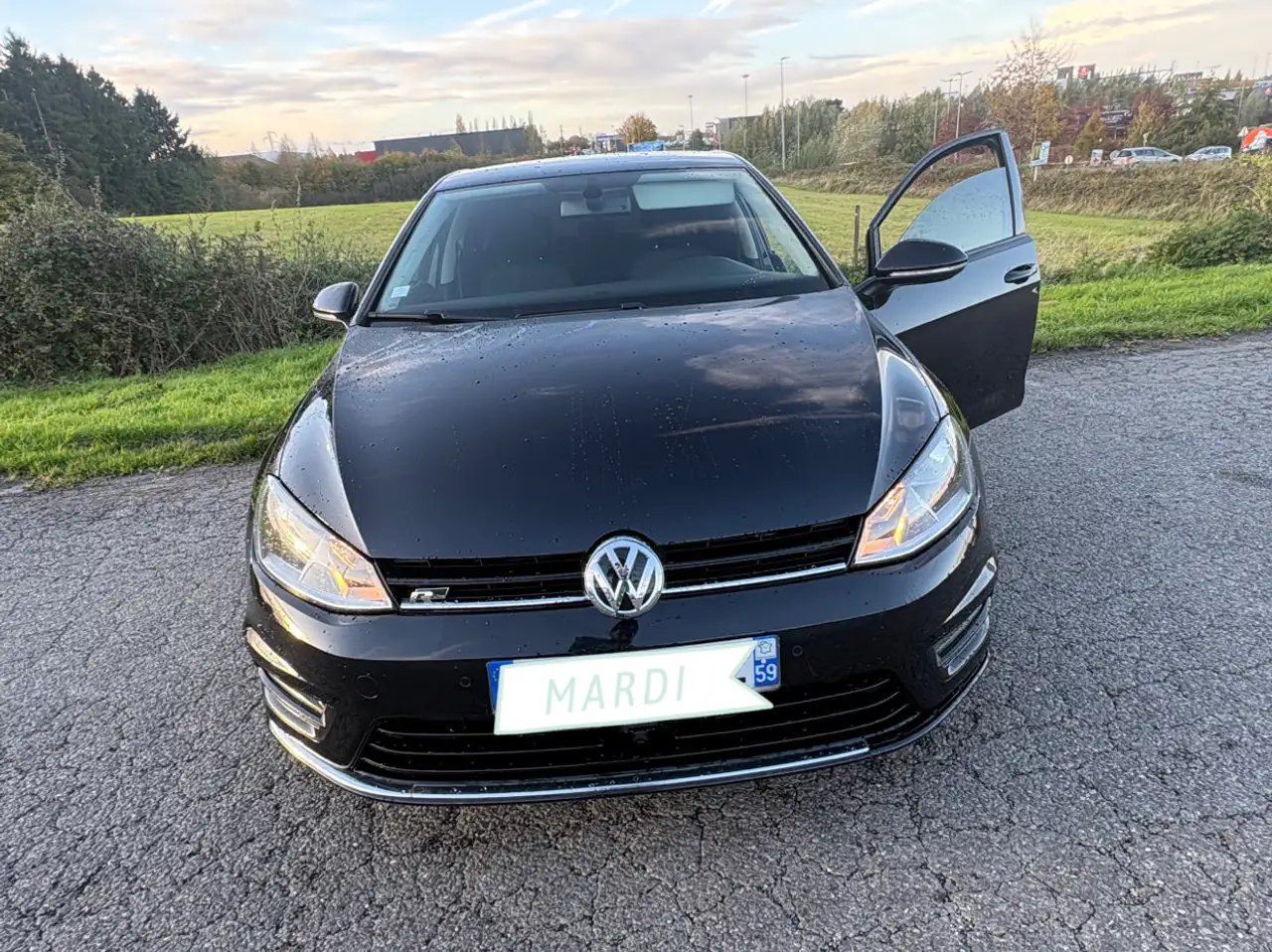 Volkswagen Golf 1.6 TDI 105 BlueMotion Technology FAP Ca