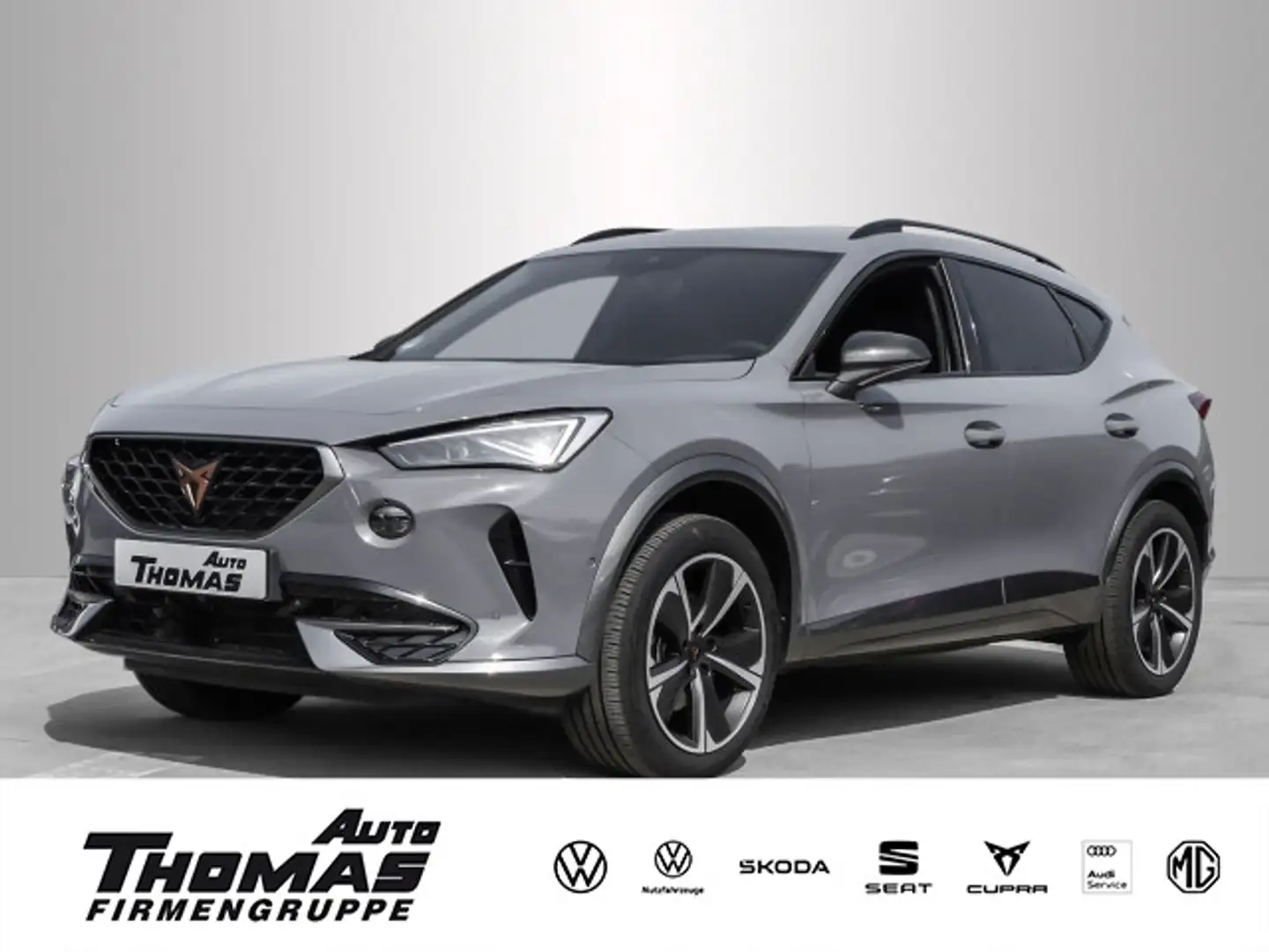 CUPRA Formentor 2.0 TSI 4Drive DSG MATRIX-LED+BEATS Grau - 1