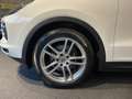 Porsche Cayenne Cayenne Tiptronic S Weiß - thumbnail 17