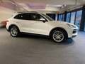 Porsche Cayenne Cayenne Tiptronic S Weiß - thumbnail 13