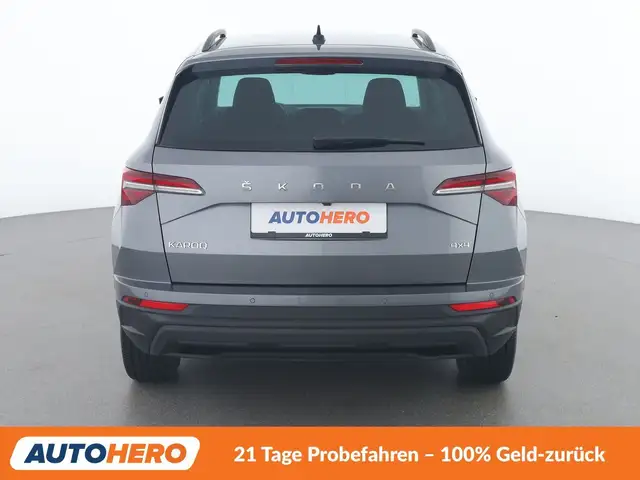 Skoda Karoq view 5