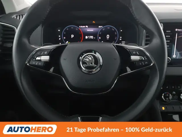 Skoda Karoq view 19