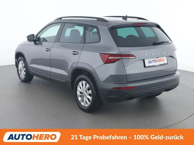 Skoda Karoq view 4