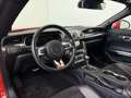 Ford Mustang GT|Carbon|deutsch|unfallfrei|B&O|ACC|Klappe Rot - thumbnail 8