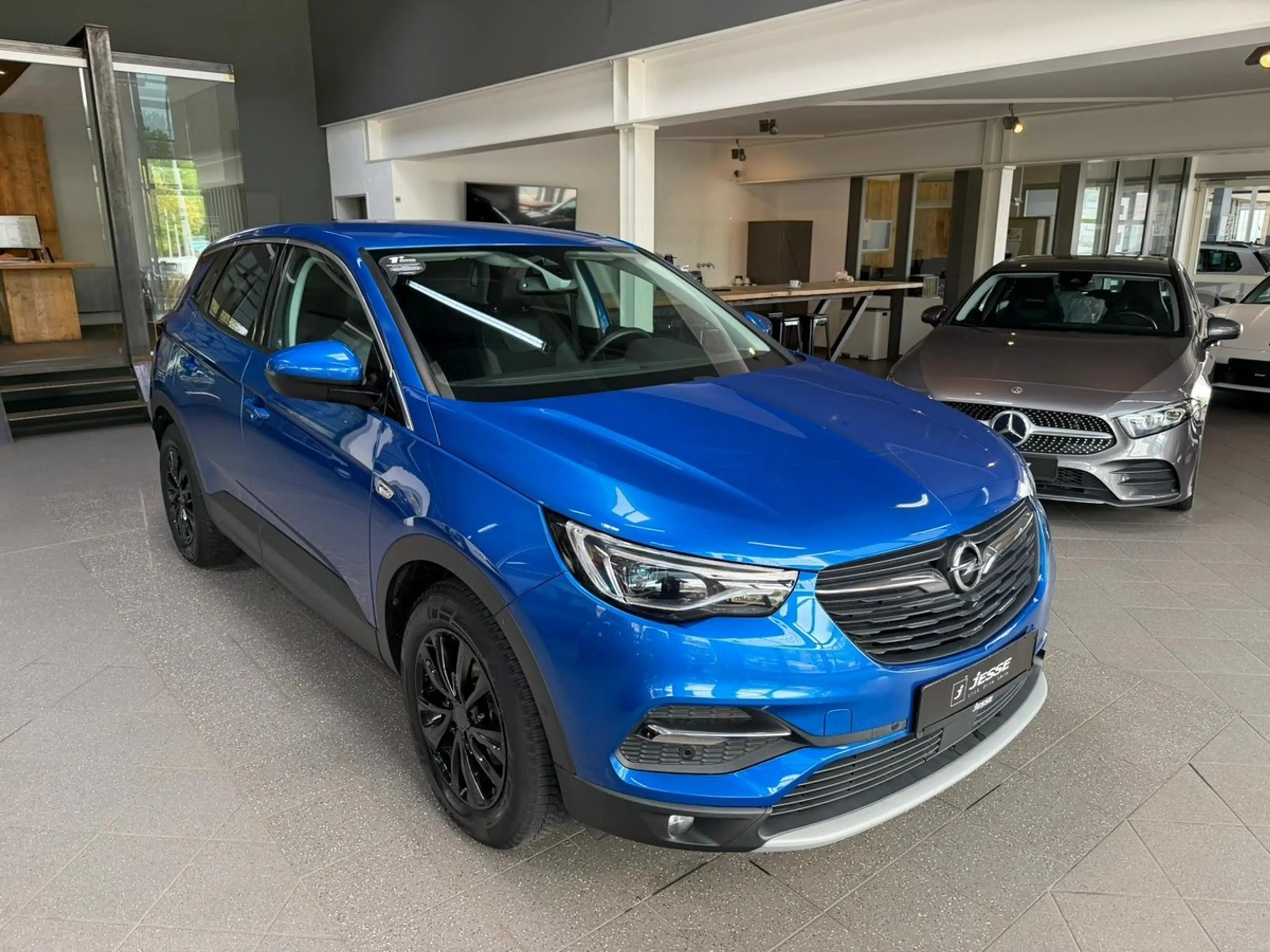 Opel Grandland X 1.6 CDTI Dynamic Bi-LED Navi 360Cam — photo 3