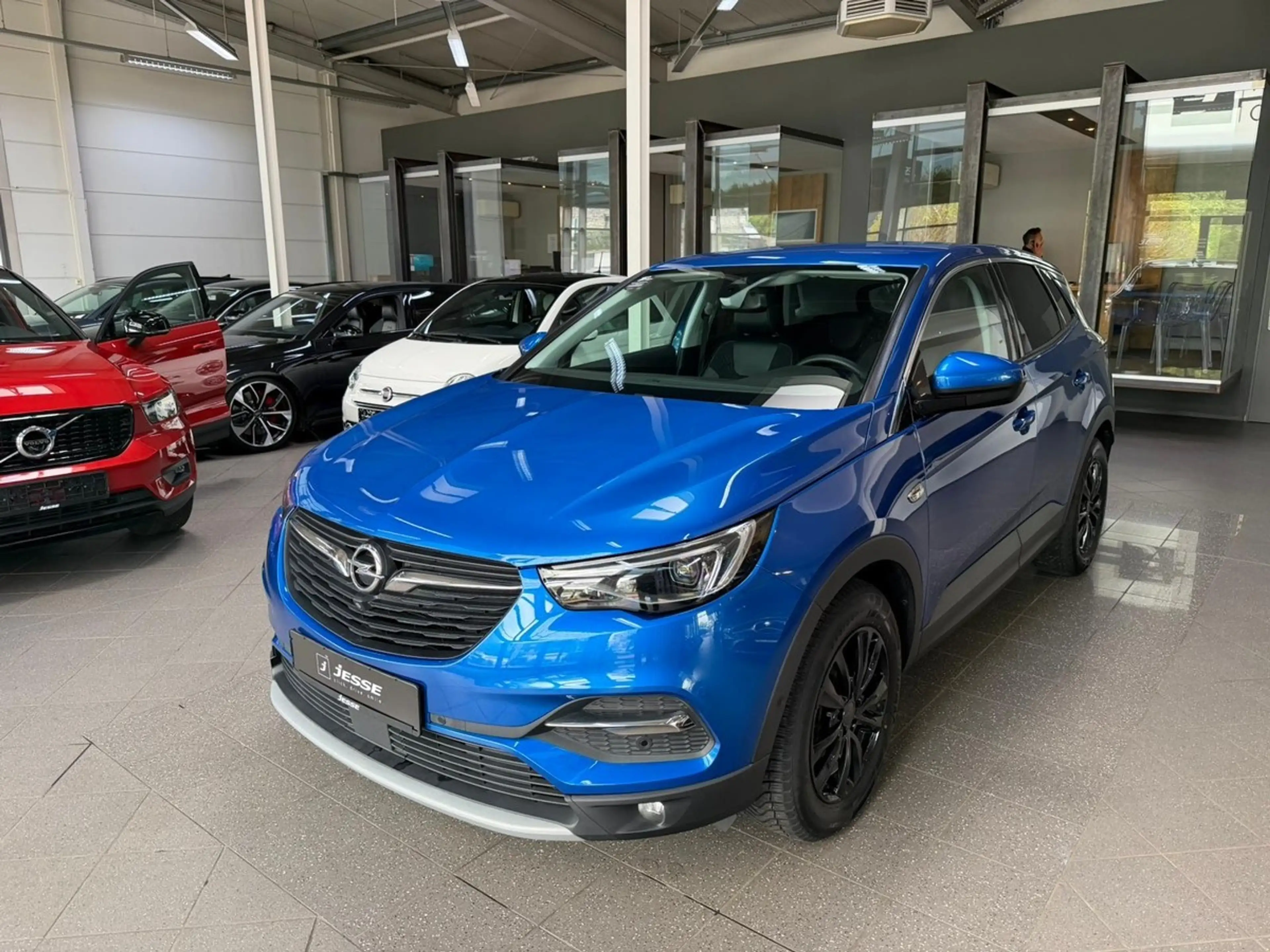 Opel Grandland X 1.6 CDTI Dynamic Bi-LED Navi 360Cam